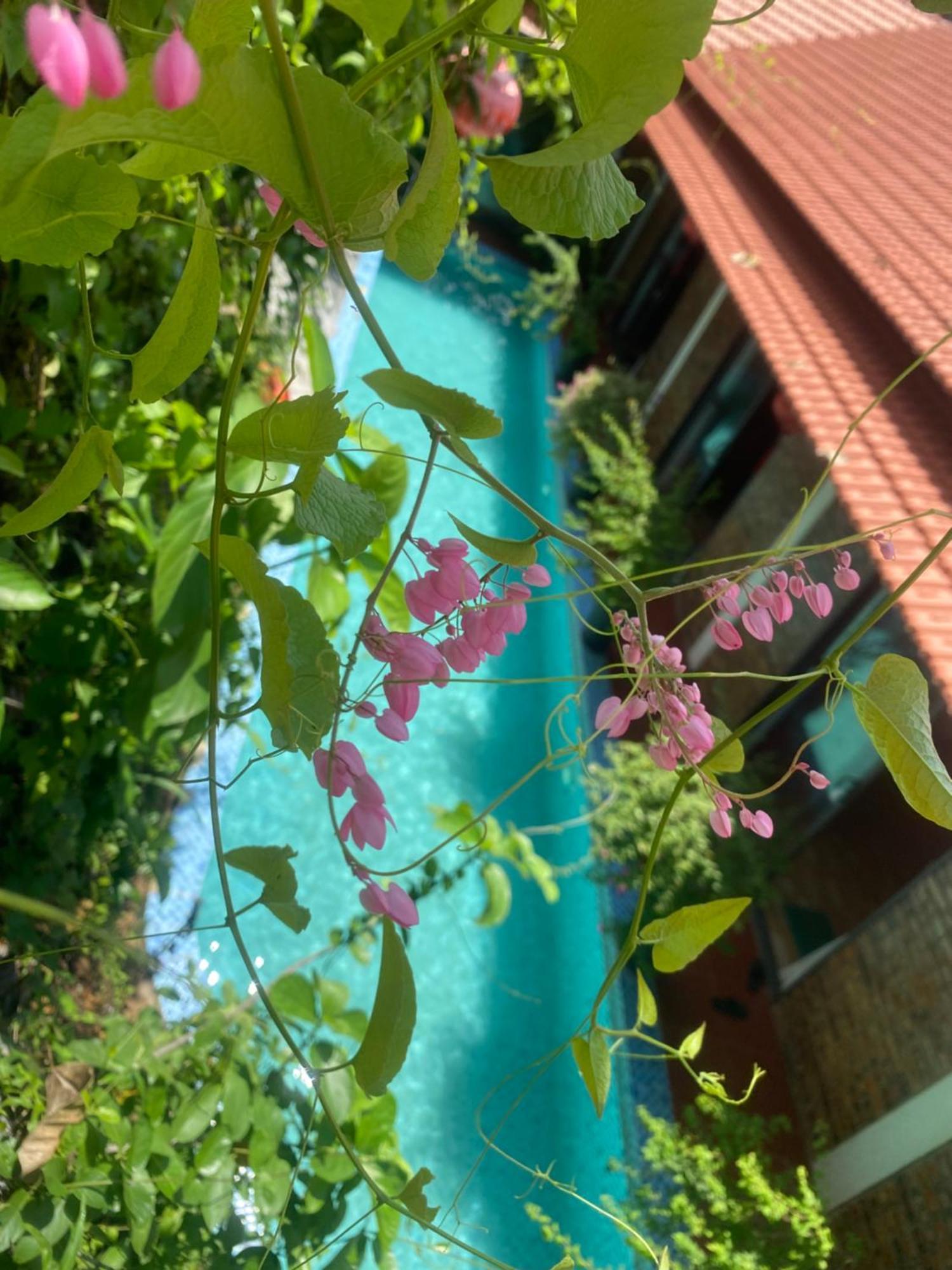 Sunshine Villa Thuy Bieu Hue Dış mekan fotoğraf